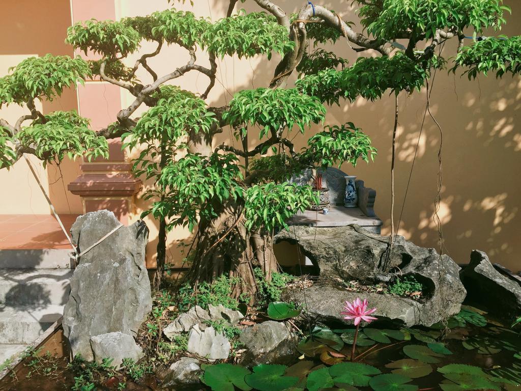 Tam Coc Green Homestay ニンビン エクステリア 写真